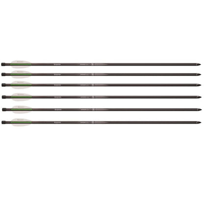 Benjamin Airbow - Spare Arrow set/6