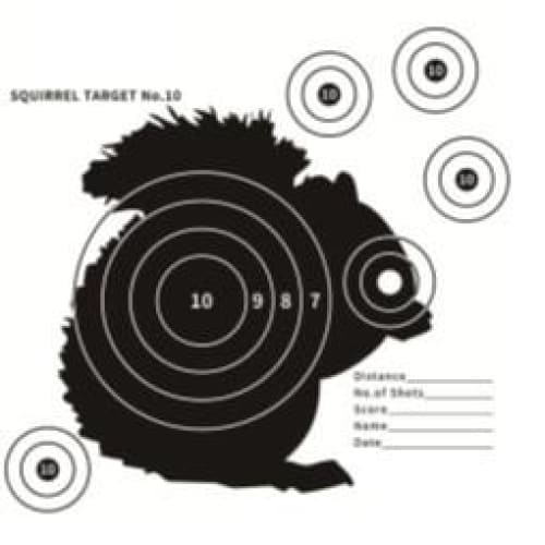 LARGE CARD SQUIRREL TARGET,