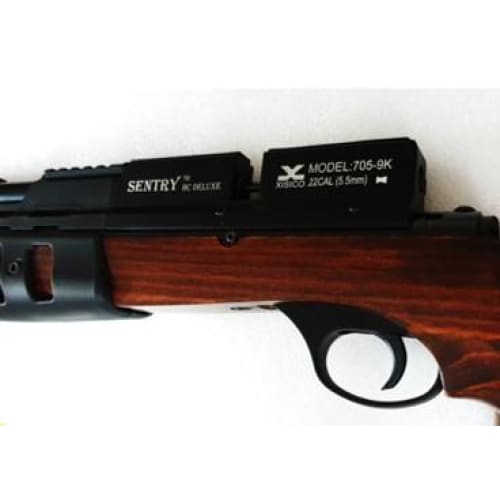 XISICO SENTRY PCP AIR RIFLE.22 WITH 2 MAGAZINES