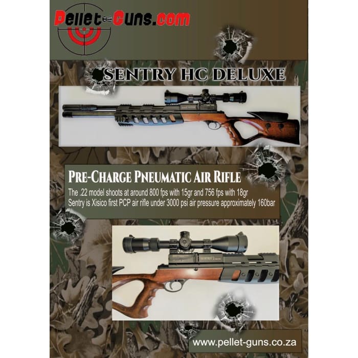 XISICO SENTRY PCP AIR RIFLE.22 WITH 2 MAGAZINES