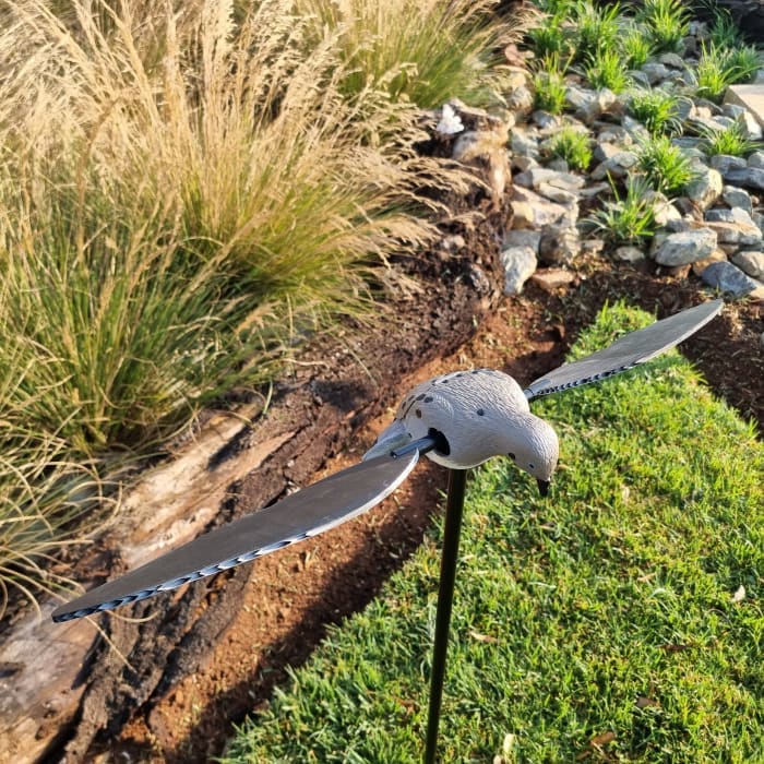 Voodoo Dove Decoy - Pigeon on Spike with Rotating Wings - 