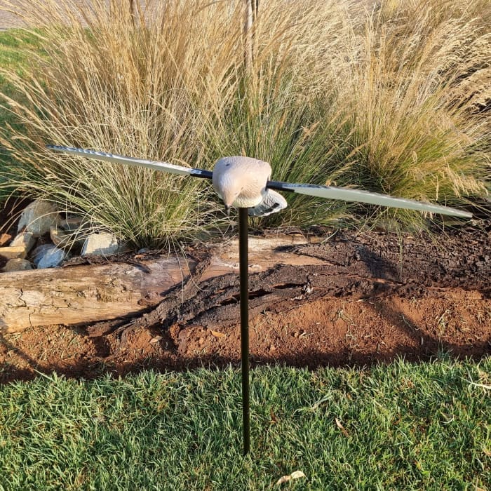 Voodoo Dove Decoy - Pigeon on Spike with Rotating Wings - 